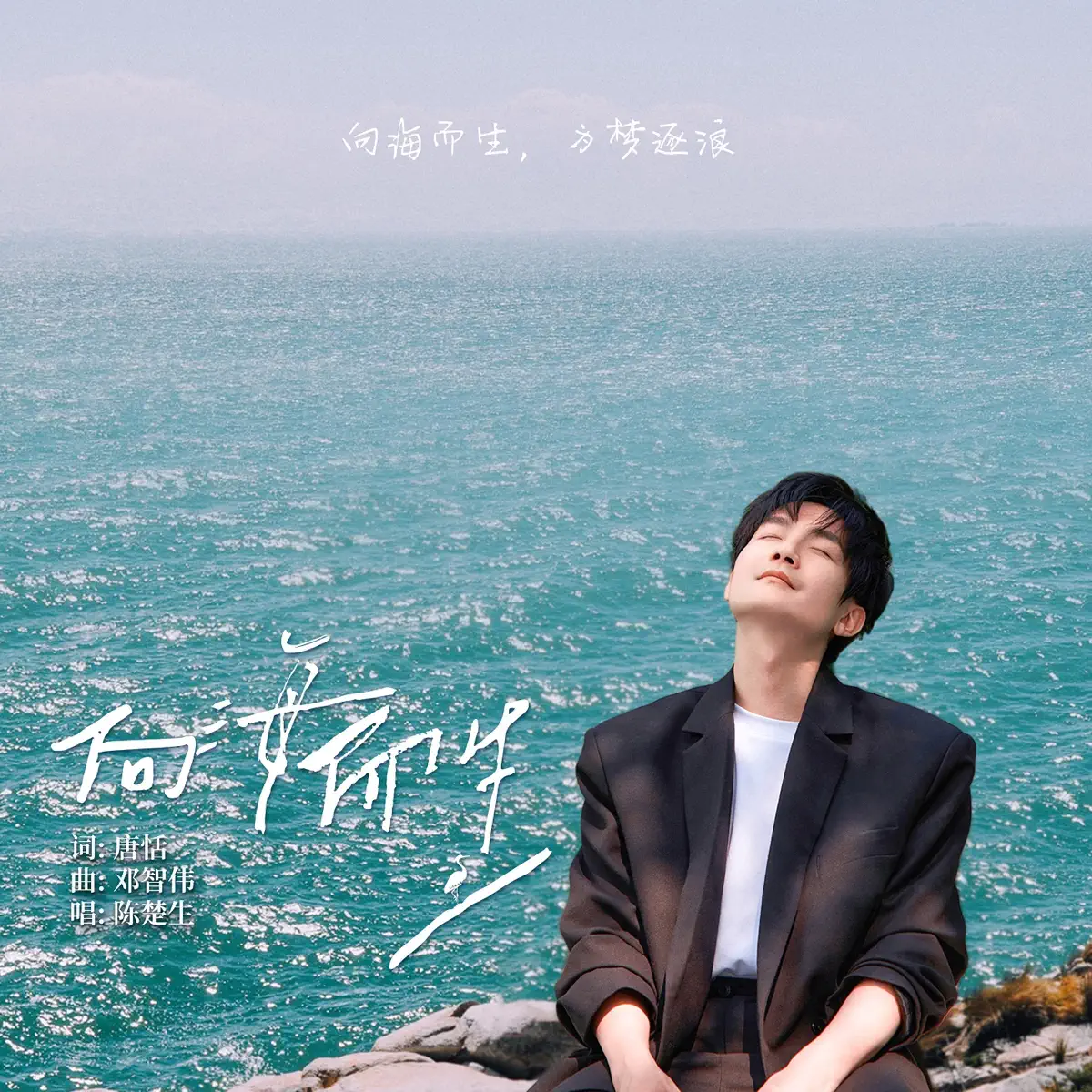陳楚生 - 向海而生 - Single (2023) [iTunes Plus AAC M4A]-新房子