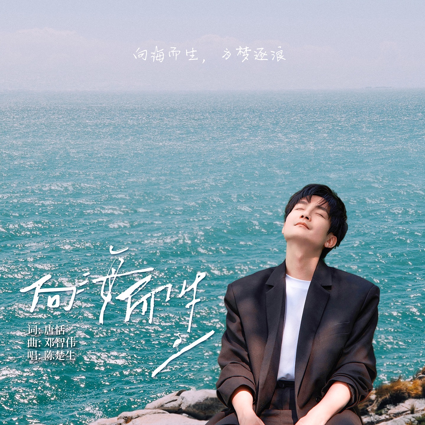 向海而生 - Single