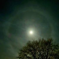 Control - Single - Frayed Cables