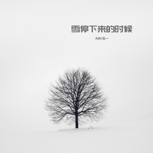 雪停下来的时候 (合唱版) - Single