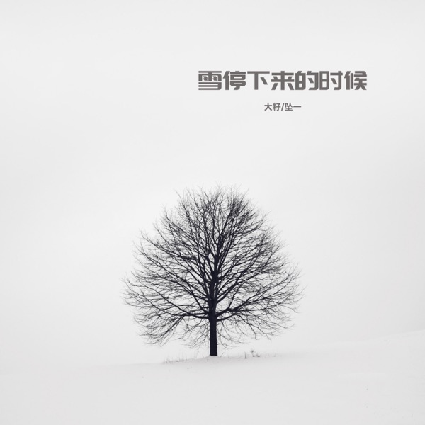 雪停下来的时候 (合唱版) - Single