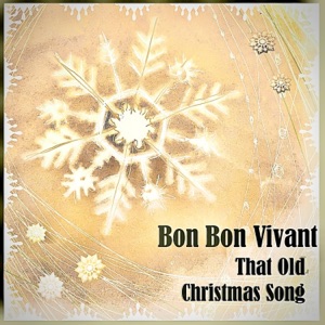 That Old Christmas Song (Radio Edit) [Radio Edit] - Single
