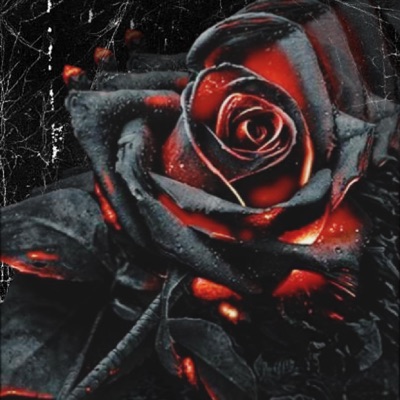 To Speak True - Single