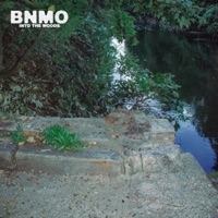 Into The Woods - Single - BNMO