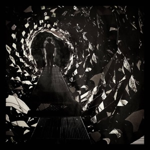 La Nuit (feat. LAISZ, Remo & Phauna *) - Single