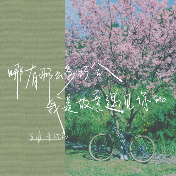 哪有那么多巧合 我是故意遇见你的 - Single