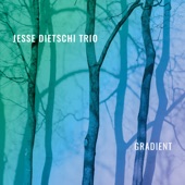Jesse Dietschi Trio - The Process of Perspective