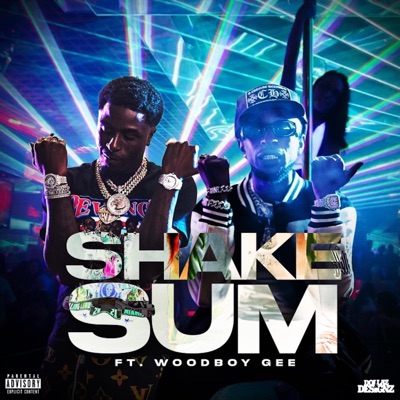 Shake Sum (feat. WoodBoy Gee) - Single