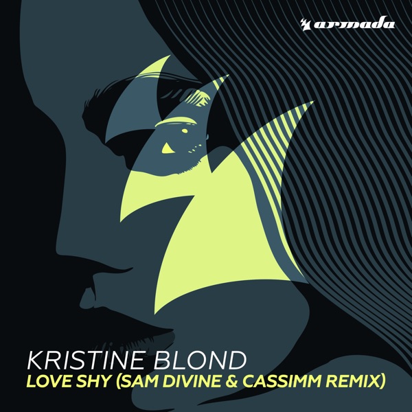 Love Shy (Sam Divine & CASSIMM Remix) - Single