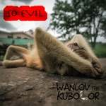 Wanlov The Kubolor - So Evil