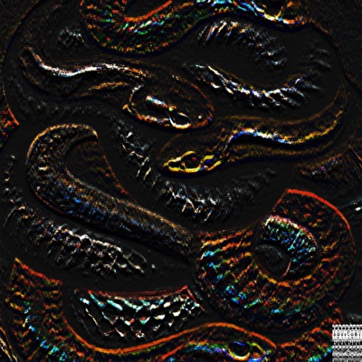 Snakes - Single