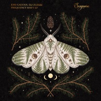 Frequency Shift - EP - Emi Galvan & DJ Zombi