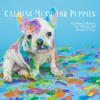 Dog Music - Dog Music, Dog Therapy Zone & Dog & Calm