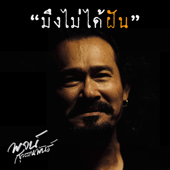 มึงไม่ได้ฝัน song art