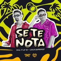 Se Te Nota - Single - DMCylosé & Coco Bandenay