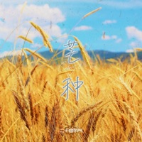Grain in Ear -Mangzhong- - Single - Catty.L