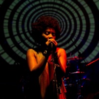 Soultrain (Boom Bap Soul Hip Hop Instrumental) - Single - Gradozero