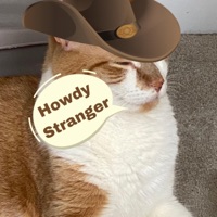 Stranger - Single - Kymori