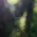 Signs of Light