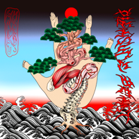 Cool for You - Haiku Hands Cover Art