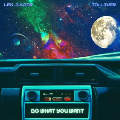 Do What You Want - Single