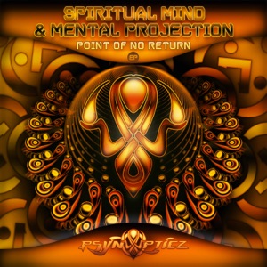 Point of No Return - Single