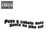 Puxa o Cabelo Dela/Senta na Pika Vai - Single