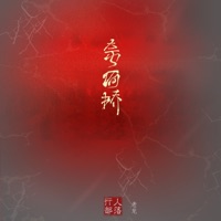 奈何桥 (DJ版) - Single - 行人部落 & 老龙