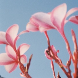 Part of Me Player Dave