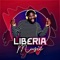 Better Day (feat. Andyzzy & Teddyride) - Liberia Music lyrics