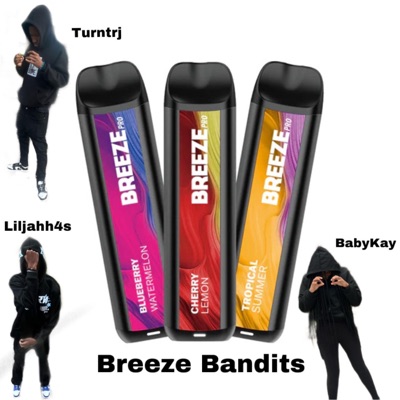 Breeze Bandits (feat. Turntrj & Babykayy) - Single