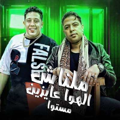 ملناش الهوا عايزين مستوا (feat. Houda Naser) - Single