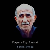 Feqanin Toy Axsami artwork
