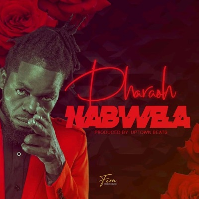 Nabwela (feat. D-Stereo) - Single