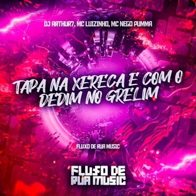 Tapa na Xereca e Com o Dedim no Grelim - Single