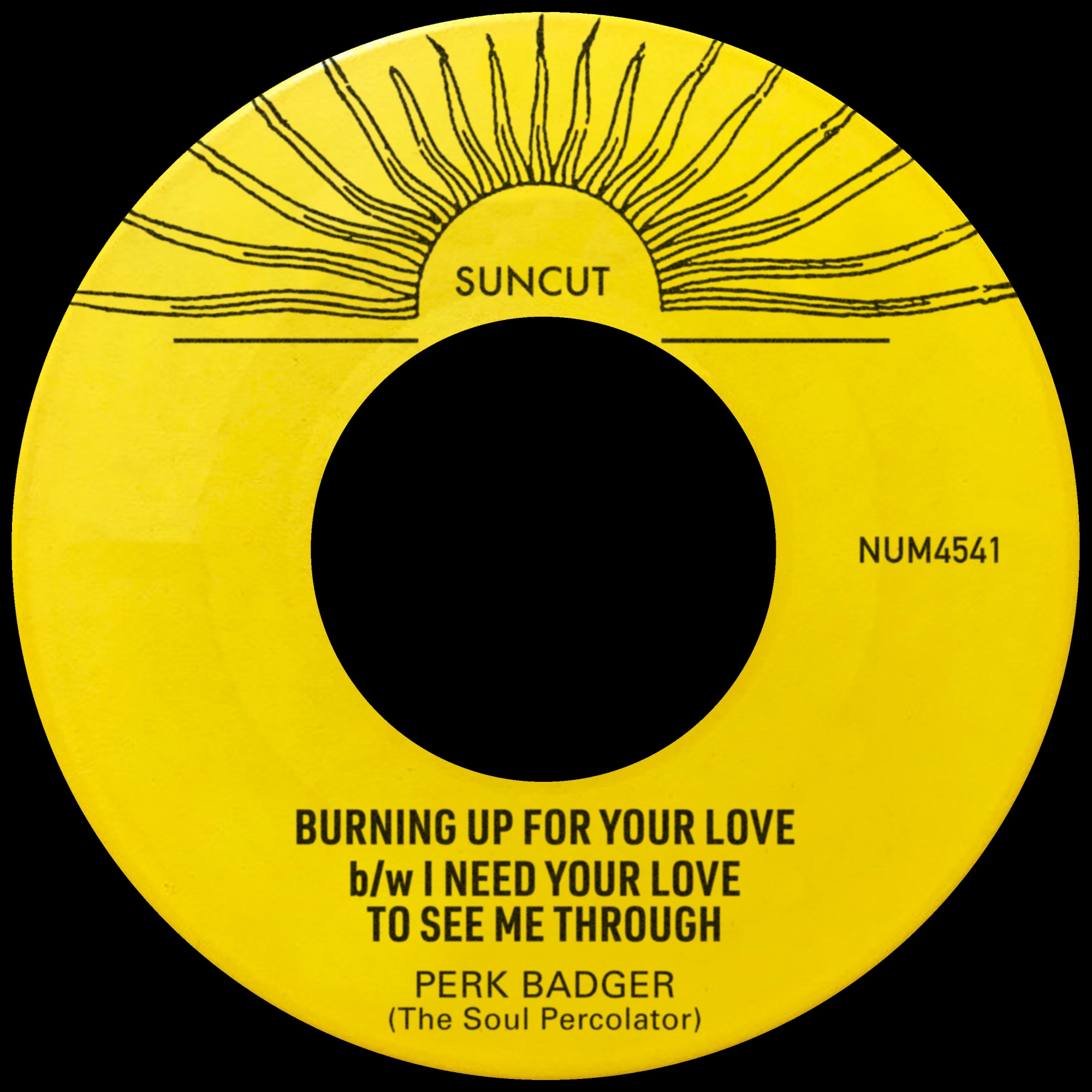 Burning Up For Your Love b/w I Need Your Love To See Me Through - Single