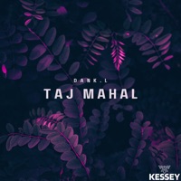 Taj Mahal - Single - Dankl