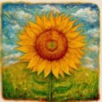 My Sunflower (Live) - Single - Eli Goldsmith Aka Midnightrabbi