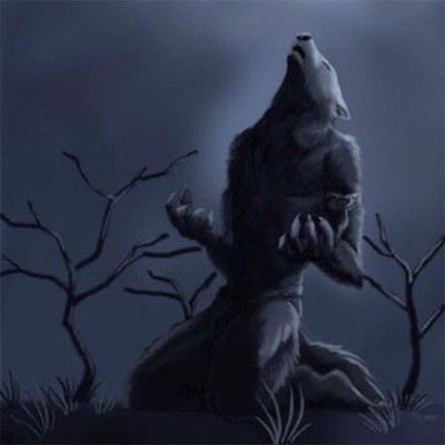 aidenchrist - CLICK THIS SONG IF YOU LIKE WOLFS (KILL ME)