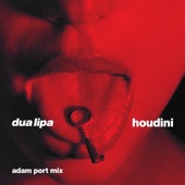 Houdini (Adam Port Mix) artwork