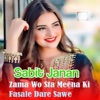 Zama Wo Sta Meena Ki Fasale Dare Sawe - Single