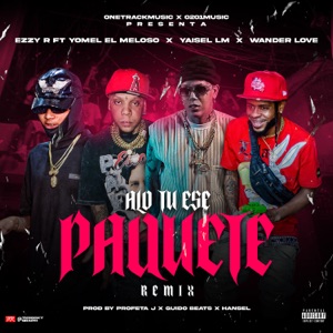 Alo tu Ese Paquete (feat. Wander Love) [Remix]