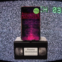 Album cover for Wisp by Haunter