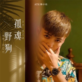 孤魂野狗 (伴奏) ATK & 杨小壮