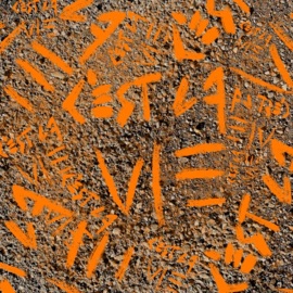 C'est la vie (feat. D.A.) Eleinad