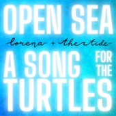 A Song For the Turtles artwork