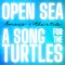 A Song For the Turtles artwork