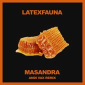 Masandra (Andi Vax Remix) artwork