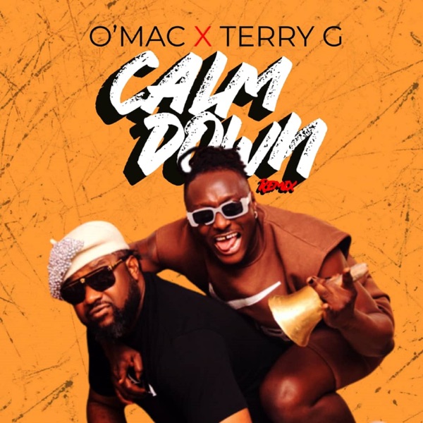 Calm Down (Remix) - Single