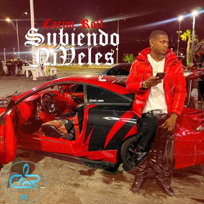 suubiendo niveles - Single